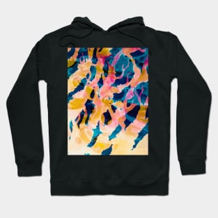 seahorse imagery Hoodie